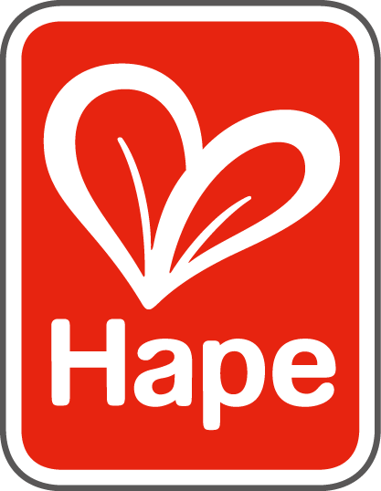 Hape Toys