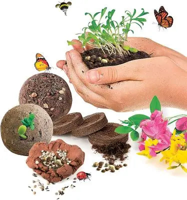 Bombes colorées prêtes à être plantées