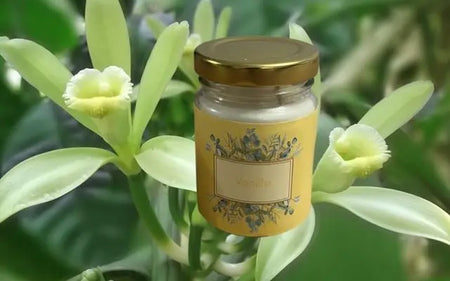 Bougie Vanille 70g