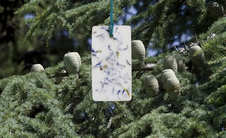 galet de cire parfume Forêt du Luberon 10g