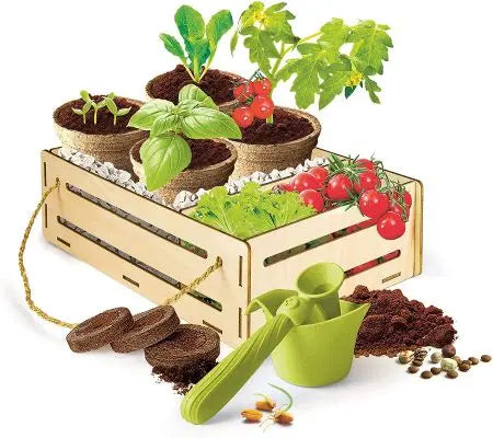 Ensemble de jardinage en bois avec pots biodégradables
