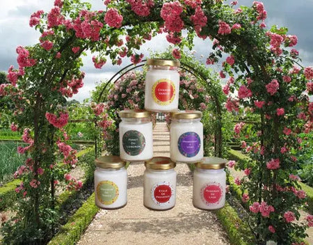 Lot de 6 bougies parfumées françaises 70g